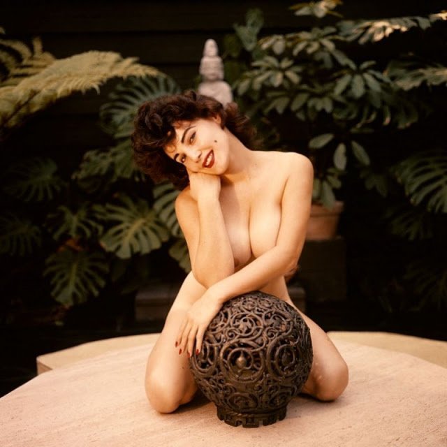 Спокуслива красуня з обкладинки Playboy 1950-х років 43