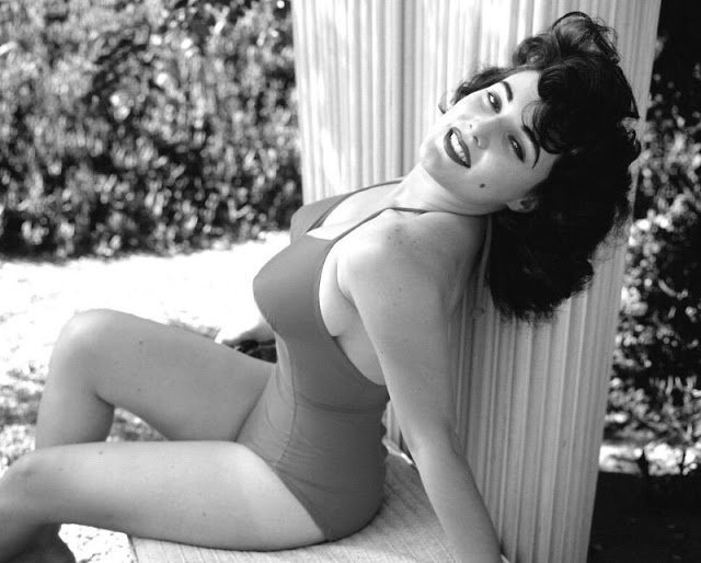 Спокуслива красуня з обкладинки Playboy 1950-х років 42