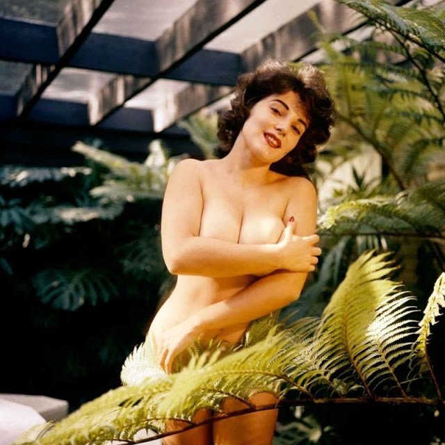 Спокуслива красуня з обкладинки Playboy 1950-х років 34
