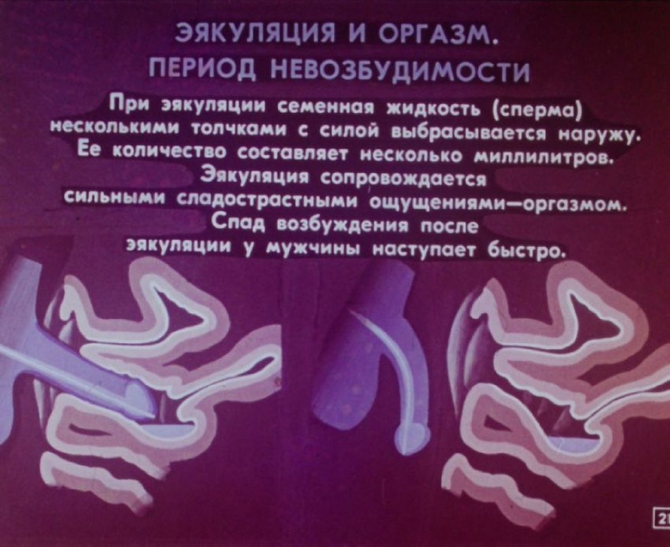 Як виглядала стрічка фільму про статеве виховання в СРСР 68