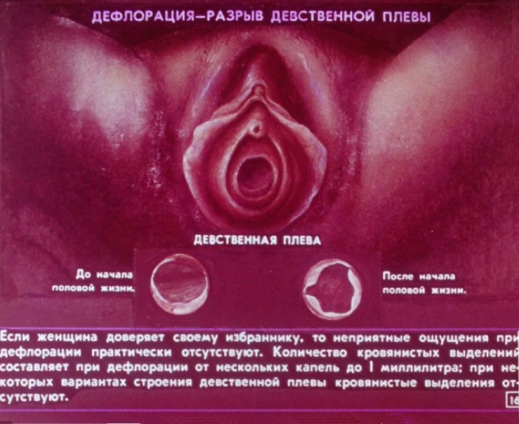 Як виглядала стрічка фільму про статеве виховання в СРСР 63