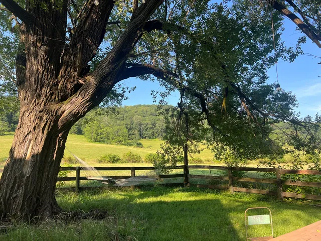 Моя улюблена оселя в Крозеті, Вірджинія, на фермі Блакитного хребта площею 400 акрів 14