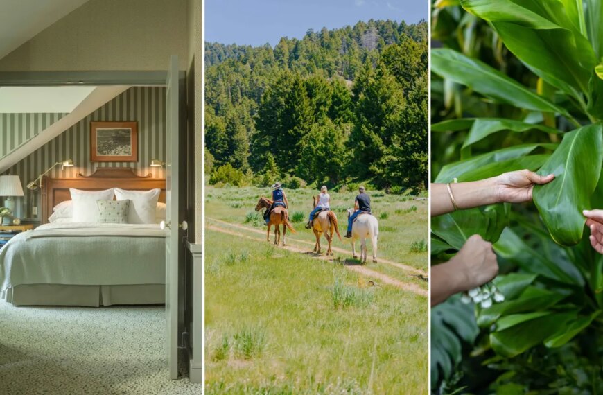 ОМУТ 197 10 готелів, що навчають новим навичкам, від ювелірної справи до соколиного лову