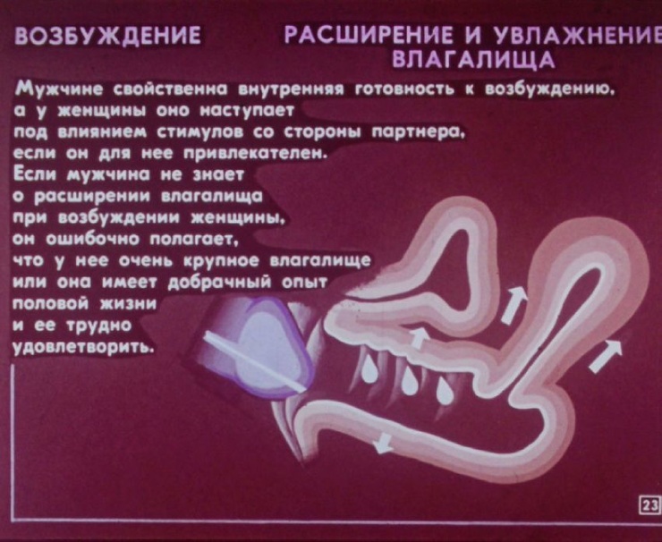 Як виглядала стрічка фільму про статеве виховання в СРСР 70