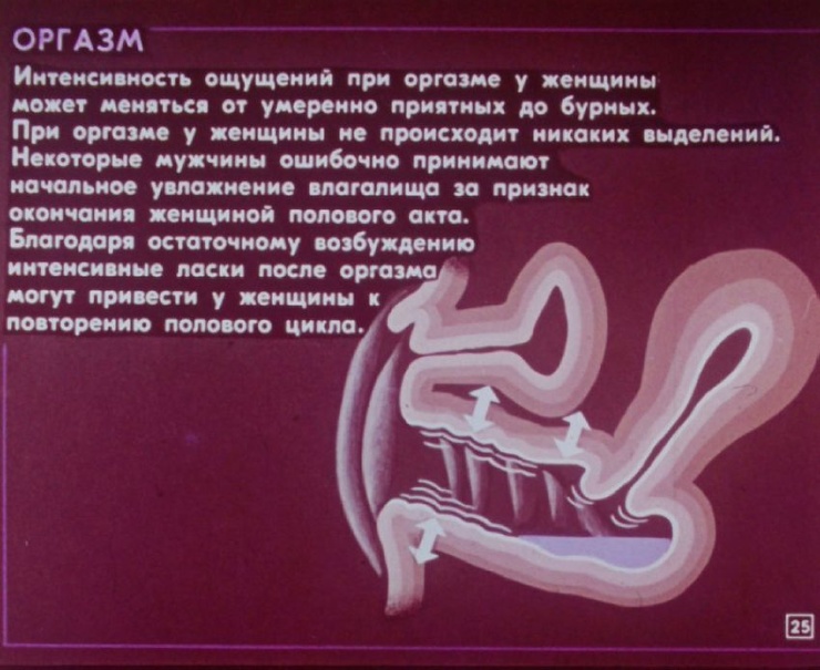 Як виглядала стрічка фільму про статеве виховання в СРСР 72