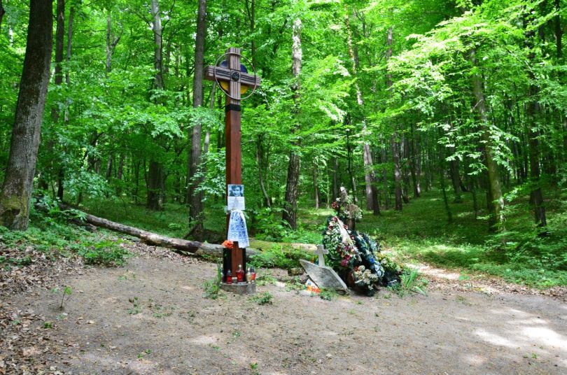 Володимир Івасюк: приховані нитки долі митця, що плекав мелодії душі 45