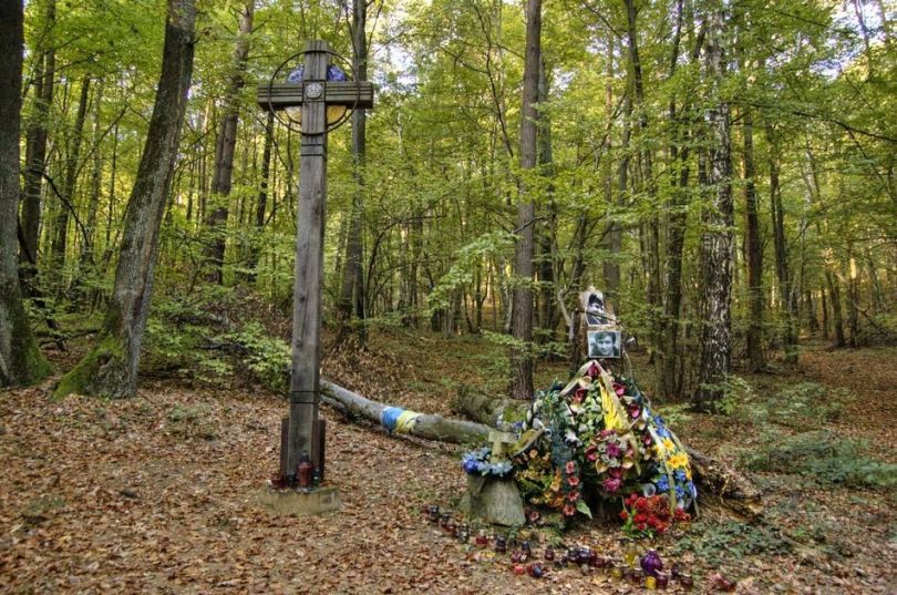 Володимир Івасюк: приховані нитки долі митця, що плекав мелодії душі 42