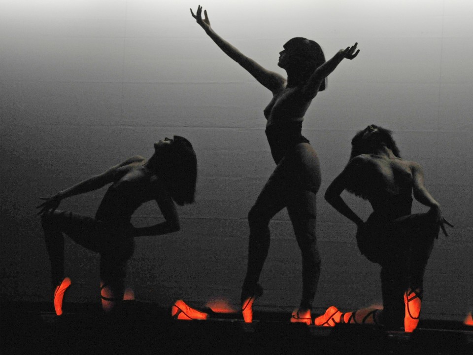 18 пелюсток ночі від Crazy Horse 38