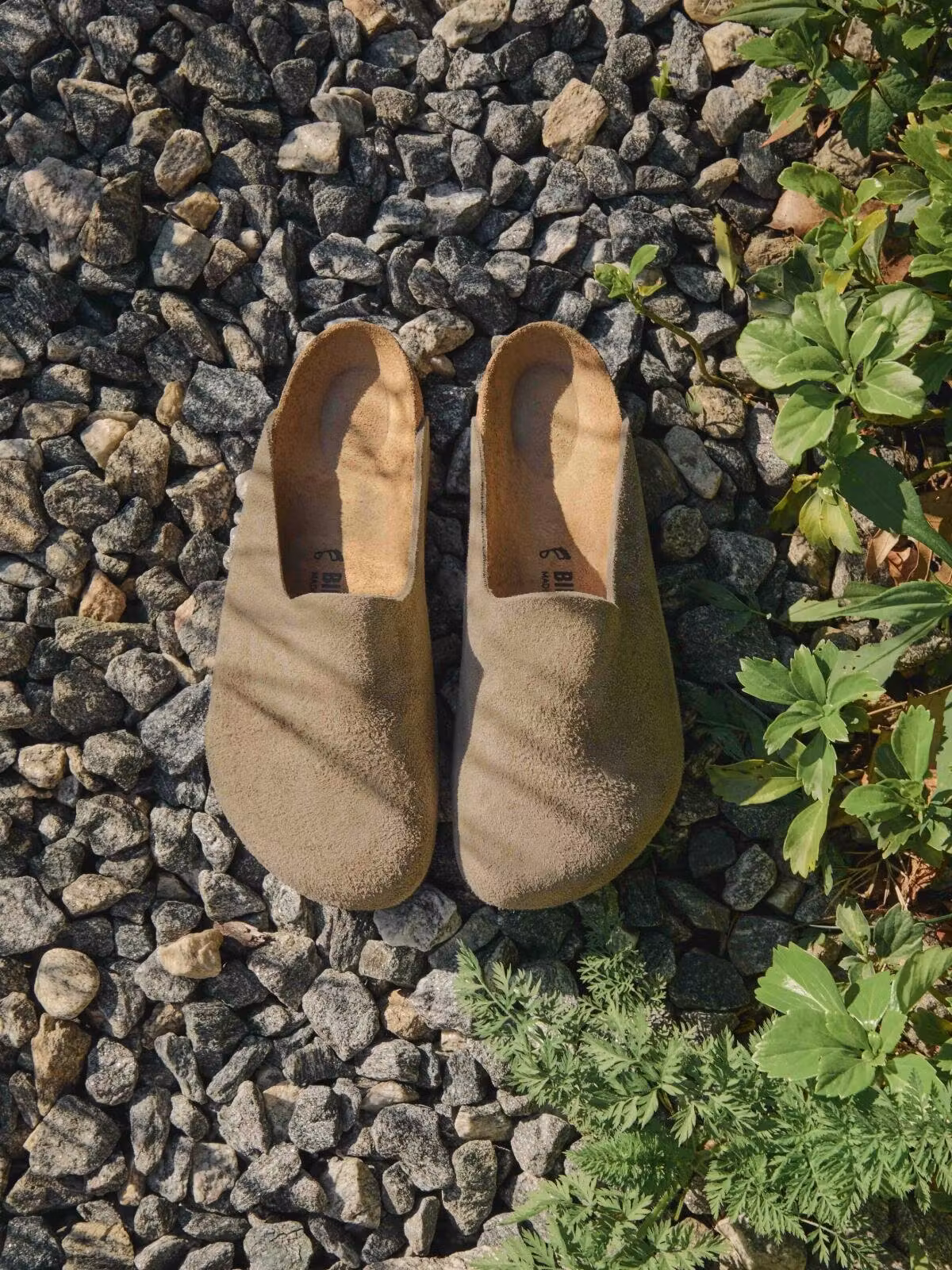 Амстердам від Birkenstock – це витончена версія клога Boston 13