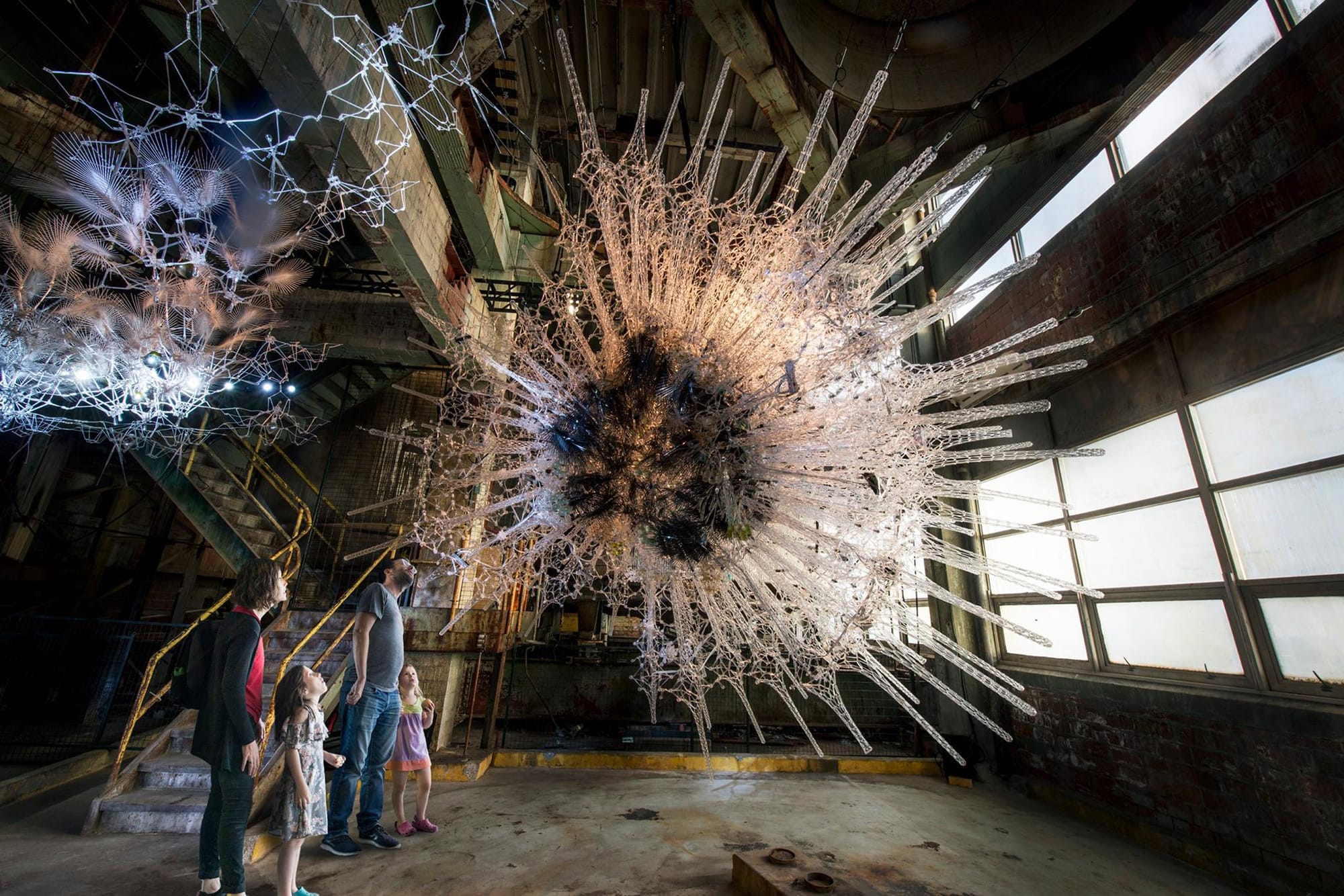 Двадцять дві камери-обскури заповнюють надувну, обволікаючу, зображення-формуючу інсталяцію Pneuhaus 36